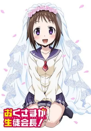Моя жена — президент студенческого совета! / Okusama ga Seitokaichou!
