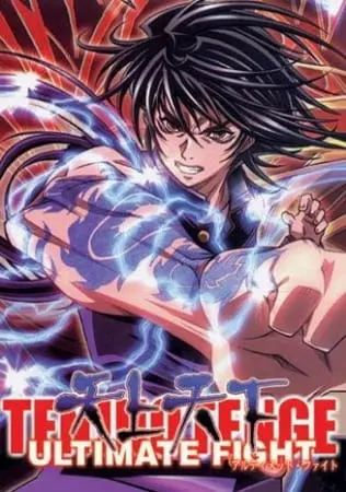 Небо и земля: Бои без правил / Tenjou Tenge: The Ultimate Fight