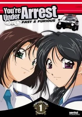 Вы арестованы! 2 / Taiho Shichau zo: Second Season
